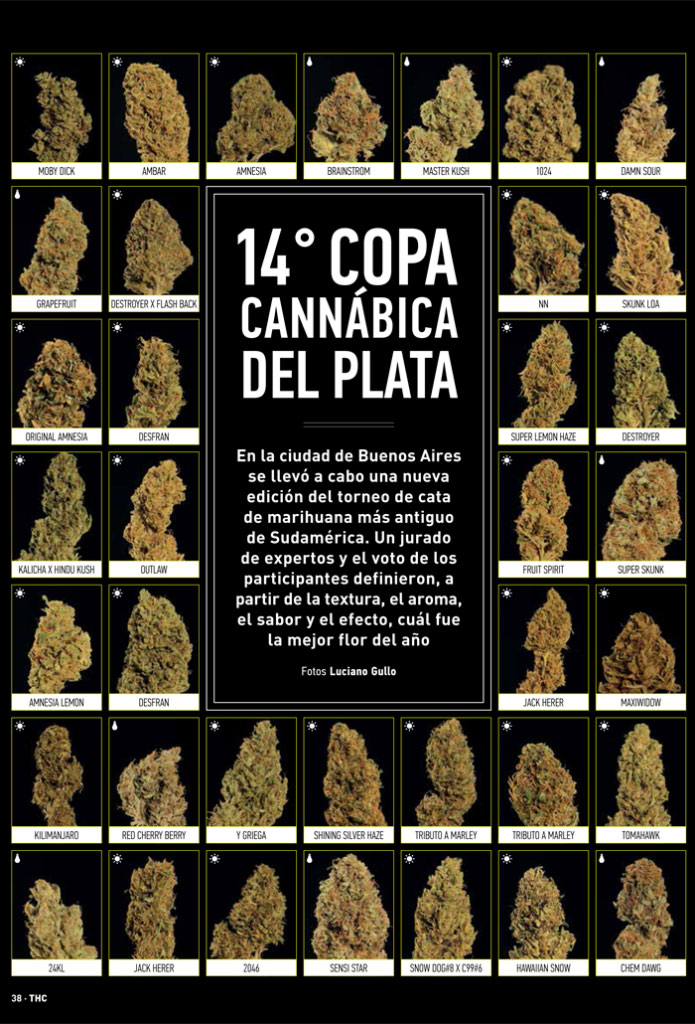 2015-THC-copa-del-plata-2015-1-695×1024