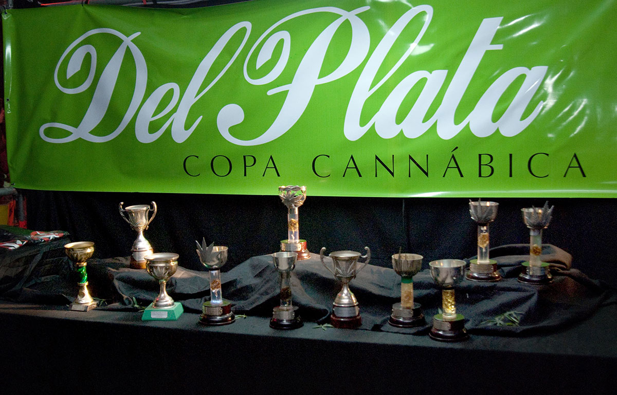 Del-Plata-2013—Las-copas-cannabicas-Del-Plata-anteriores-y-la-actual-en-el-centro—Revista-THC