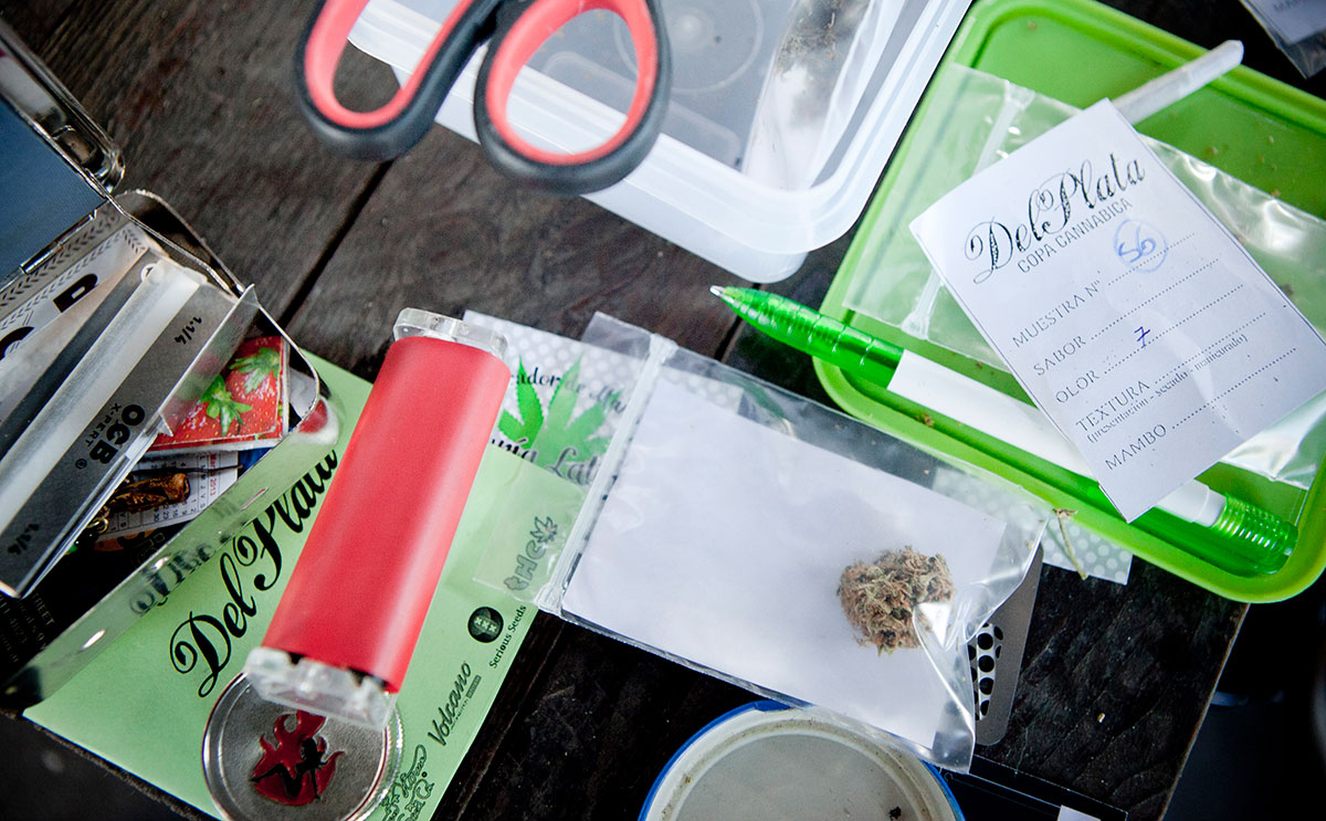 Del-Plata-2013—cata-01—Revista-THC