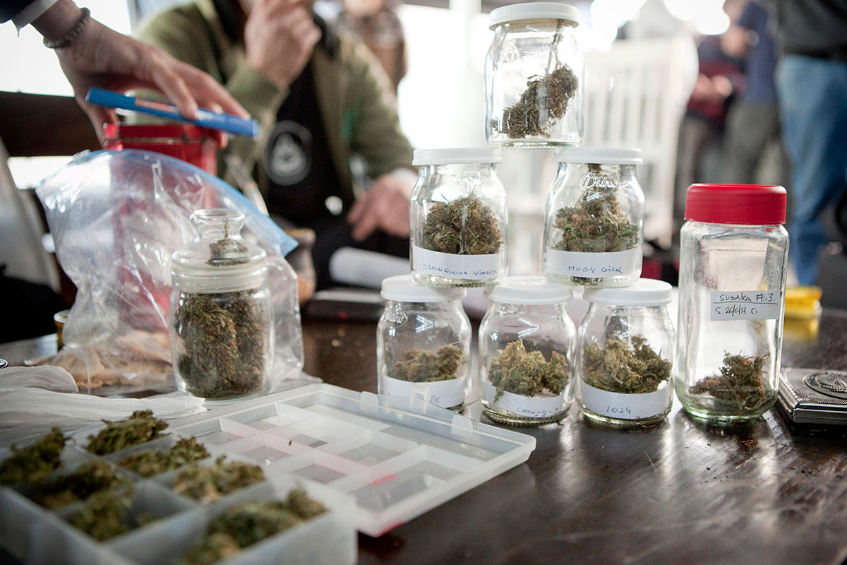 Del-Plata-2013—cata-02—Revista-THC