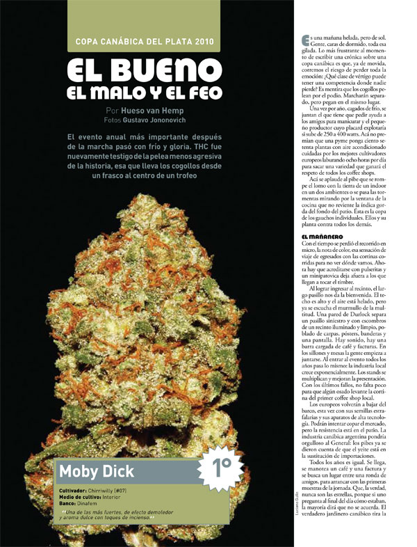 Repercuciones-THC