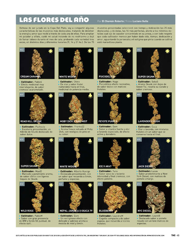 Repercuciones-THC«2
