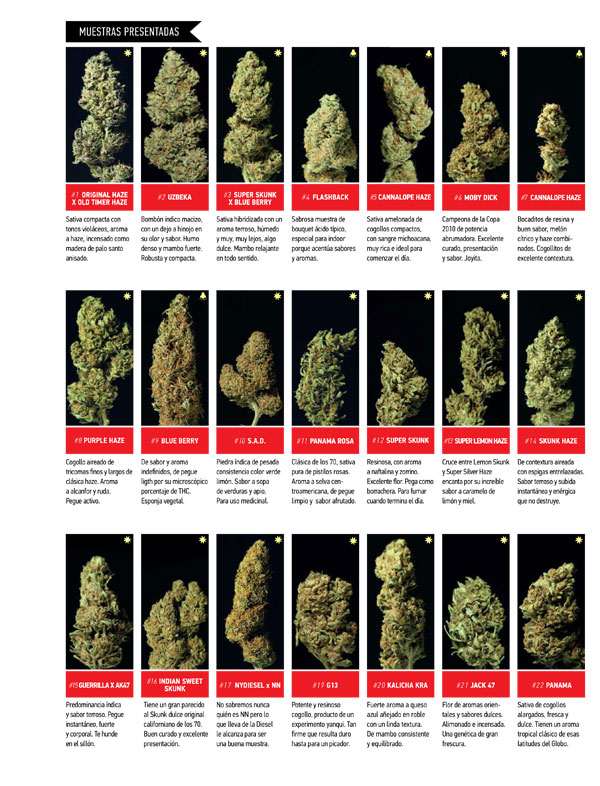 Repercuciones-THC«3