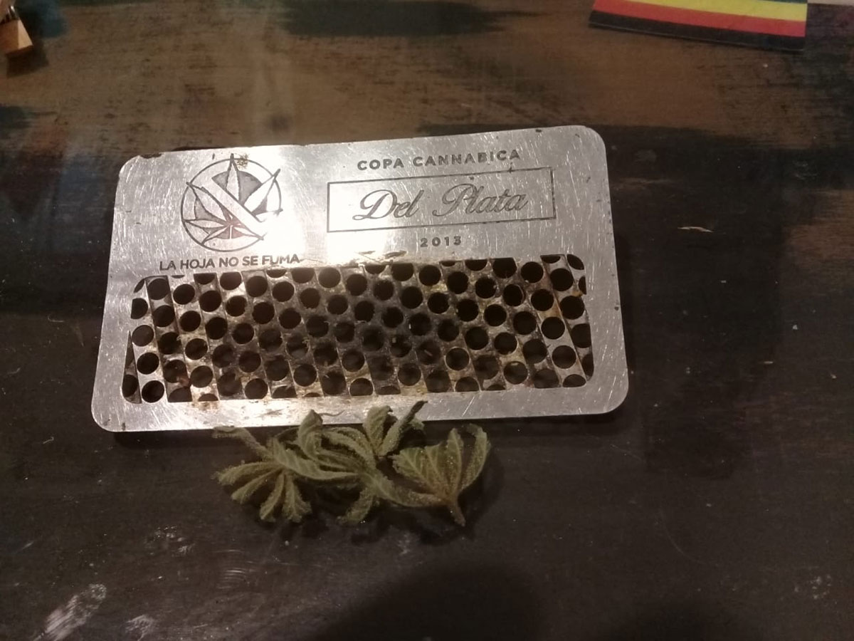 tarjeta-picacho-Del-pLATA-2013